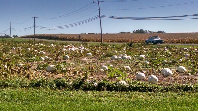 img_20161007_123325307_hdr