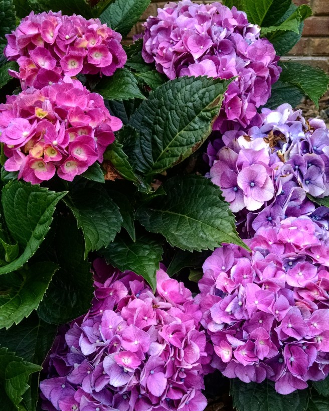 img_20160622_102517-1