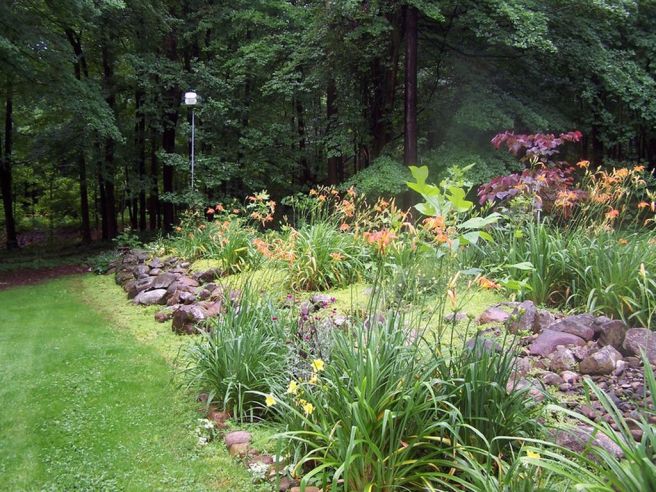 IS991sw2ymlrnb0000000000 coldbrook 16